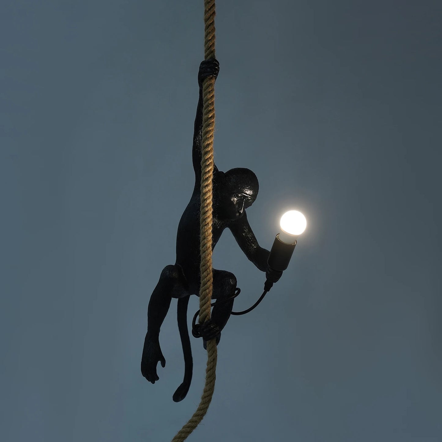 Monkey Pendant Lamp